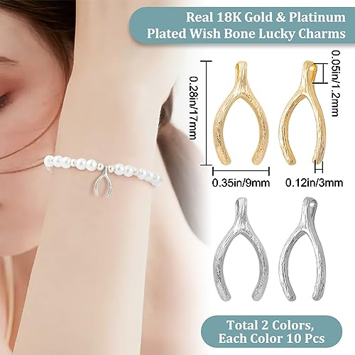 Beebeecraft 1 Box 20Pcs 2 Colors Wish Bone Lucky Charms 18K Gold & Platinum Plated Silver Golden with Jump Ring for DIY Jewelry Necklace Bracelet Earring Making Findings - Image 2