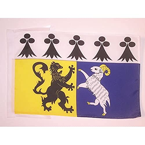 AZ FLAG, French Department of Finistere Flag, 18'' x 12'', 100% Polyester France Small Banner with Two Cords, Fade Resistant