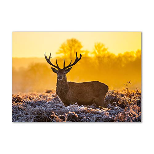 Crédence de cuisine verre trempé 100x70 dosseret fond de hotte splashback orange Tulup
