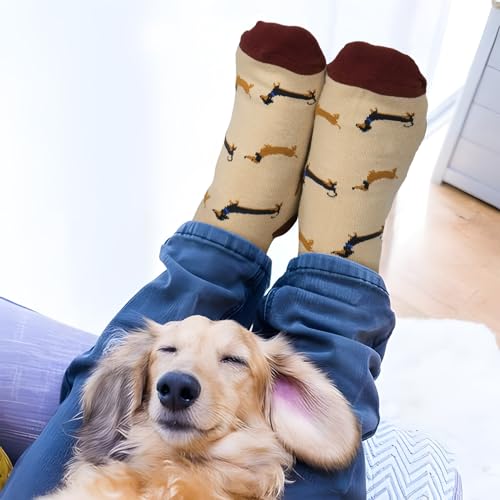 GEBETTER Geschenk für Hundebesitzer Dackel Socken 36-45 lustige Dog Geschenkideen Mit Spruch „Bitte Nicht Stören Mein Hund braucht mich“ Geburtstagsgeschenk für Frauen Männer Hundeliebhaber