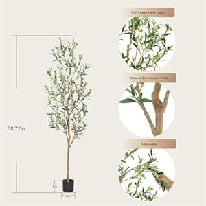 Faux Olive Tree 6ft,Olive Trees Artificial Indoor with Natural Wood Trunk and Realistic Leaves and Fruits. 6 Feet(72in) Fake Olive Tree for Home House Office Décor.2 Pack. Faux Olive Tree 6ftOlive Trees Artificial Indoor with Natural Wood Trunk and Realistic Leaves and Fruits 6 Feet72in Fake Olive Tree for Home House Office Decor2 Pack