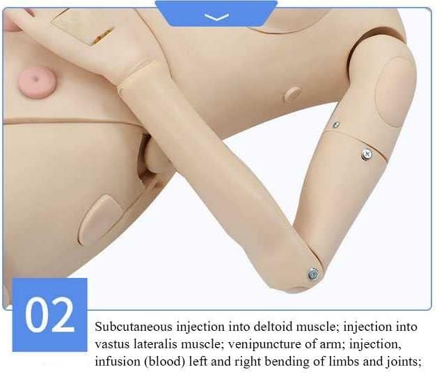 CHROX Patientenpflege Manikin Training Basic Geri Pflegefähigkeiten Geriatrisches menschliches Modell Schaufensterpuppe Ganzkörper für den Unterricht in der Schule der Krankenpflegermedizin männlich