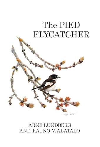 The Pied Flycatcher view 2