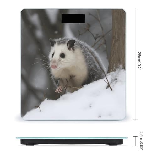 Báscula digital para baño Opossum In Snow 180 kg miniatura 2