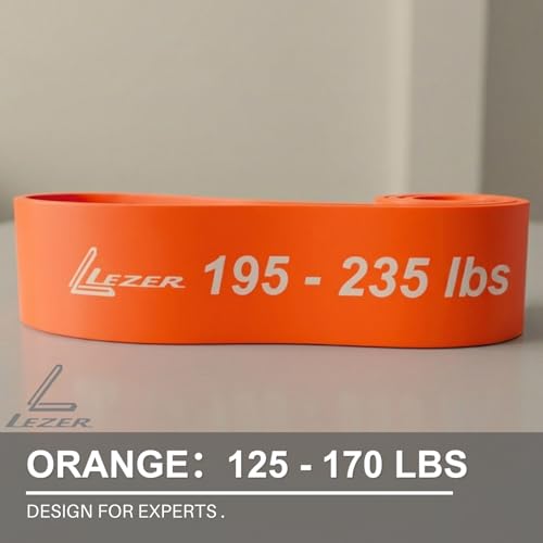Image of LEZER Resistance Bands - Pull Up Bands for Home Gym Fitness, Stretching, Physical Therapy & Training - Includes Instruction