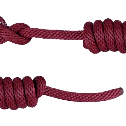 Licol de cheval violet et corde de guidage pour le paddock et l'écurie - 5