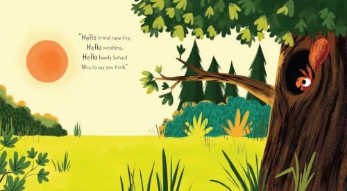 Image of The Flower Thief: The Perfect Spring Book for Children and Toddlers (The Leaf Thief)