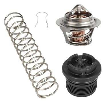 pool heater thermal regulator - Are These the Top Choices You Need? 1 pool heater thermal regulator