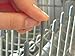 50 Universal Grey Gray Dishwasher Rack Tip Tine Cover Caps Just Push On to Repair