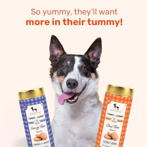 Image of Yummy in My Tummy by HUFT Chai Time Coconut Dog Biscuits - 200 gm | Gluten-Free Vegetarian Crunchy Treats for Puppies & Adult Dogs | Healthy Snack | Suitable for All Breeds Dogs