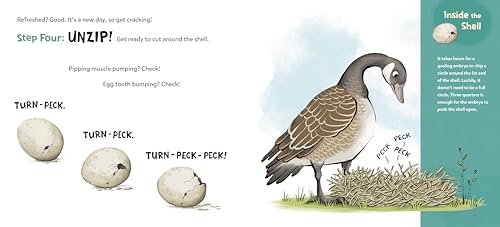How to Hatch: A Gosling\'s Guide to Breaking Free - Thumbnail 2