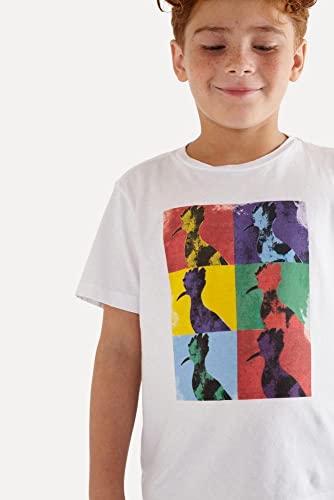 Camiseta Infantil Pica-pau Andy Art Reserva Mini