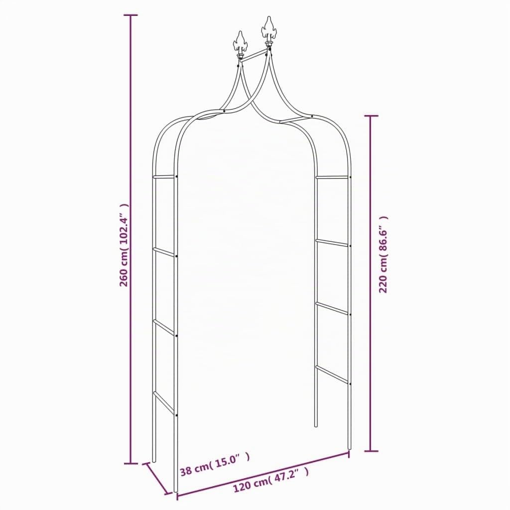 vidaXL Arches de Jardin 2 pcs Noir 120x38x260 cm Acier