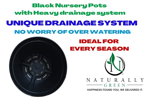 Image of Naturally Green Unique Drainage System Nursery Pots with Multi Holes for Balcony Terrace Plants Pack of (4 inch, 20)