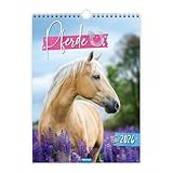 TRÖTSCH - Classickalender Pferde 2026: Wandkalender