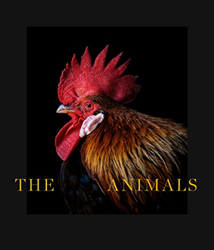 The Animals (LIBROS DE AUTOR)