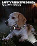 TagME Hundehalsband personalisiert, Reflektierendes gepolstertes Nylon Hundehalsband für mittelgroße Hunde mit Namen und Telefonnummer
