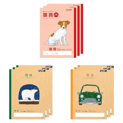 yZbgzTNNpX wK  12s c[_[ B5 Ē×S fUC  3 NP28(3) + TNNpX wK  5mm  B5 Ē×S fUC Xm[h[ 3 NP41(3) + TNNpX wK