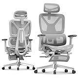 FLEXISPOT ErgoX Premium Ergonomic Office Chair with Footrest- Adjustable 3D Armrests, Dynamic Lumbar Support, Recline & Tilt Function, Mesh Seat, for Home & Office Use,Light Grey