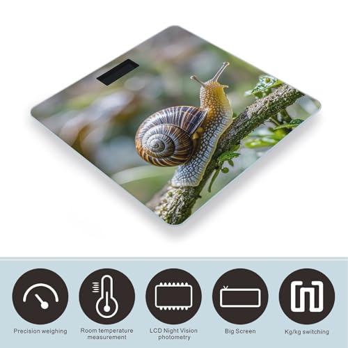 Báscula digital de baño con vidrio templado y pantalla LCD miniatura 3