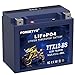 Lithium YTX12-BS, Forgetyo 12V 6AH 480A LiFePO4 Motorcycle Battery, ATV, UTV, Jet Ski, 4 Wheeler,Snowmobile,Tractor and Generator Battery