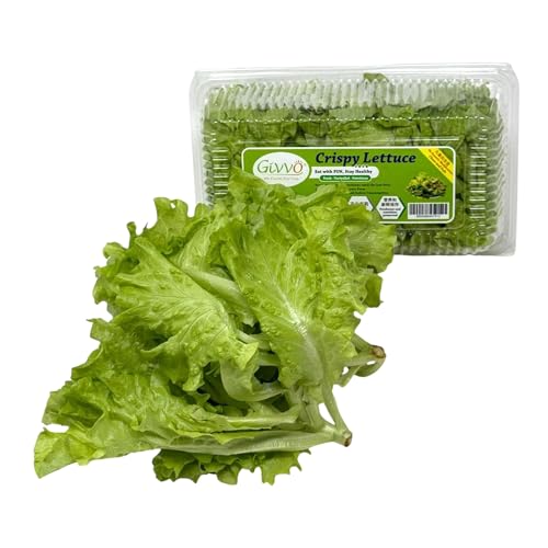 Givvo pesticide-free crispy lettuce - Handpicked 200g -Chilled Green