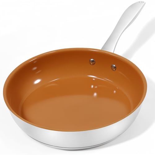Duxtop - Sartén de acero inoxidable de 9.5 pulgadas, sartén antiadherente de cerámica para tortillas con mango que se mantiene fresco