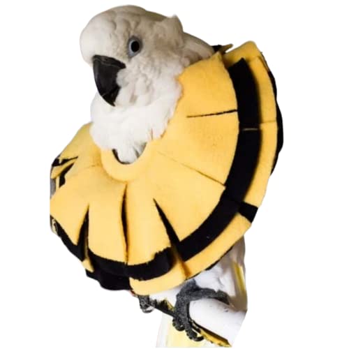Stiff Insert Cone Bird Collar for Umbrella Cockatoo & Yellow-Crested Cockatoo Parrot