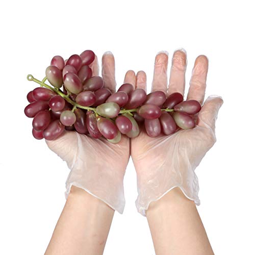 MoloTAR 100 PCS Disposable Vinyl Gloves, Extra Large - Thumbnail 5