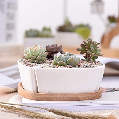 Macetas de cerámica con base modular de bambú para composición de plantas 4