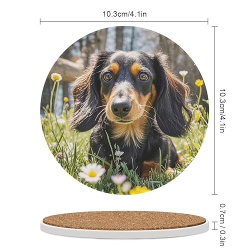 Dessous de verre teckel céramique résistant chaleur - Set de 6 pour table et boissons