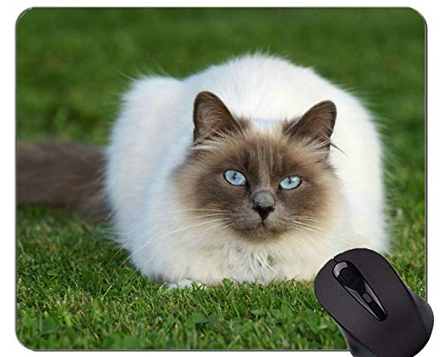 Xeb`GbWt}EXpbhAq}LL~߃o[x[X}EXpbh