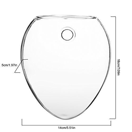 Vaso de plantas de vidro montado na parede, vasos de flores de plantas penduradas Vaso de vidro de p