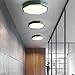 LKJOZCR Nordic Style LED Flush Mount Ceiling Light, 3-Color Dimming Sanseguang Indoor Ceiling Lamp Household Energy Saving Bedrooms/corridors/Laundry Rooms Lighting Fixtures(Green,30cm)