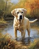ZUVRDIAI Paint by Numbers for Adults Labrador Retriever Dog DIY Digital Painting Gifts Kits Pre-Printed Canvas Art Home Decoration 16x20Inch