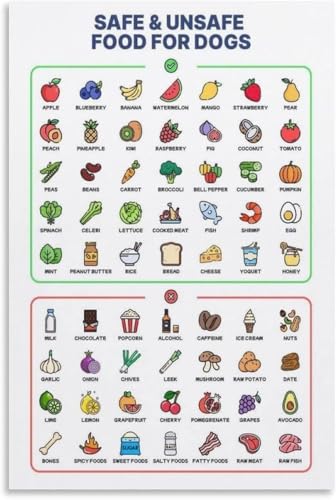 Affiche aliments sûrs et toxiques pour chiens art mural design