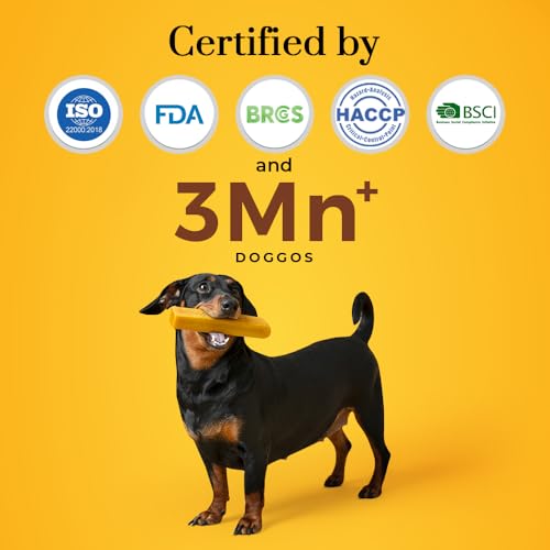 Dogsee Himalayan Yak Cheese Dog Chews with Turmeric/Curcumin (Medium - 2 Chews) | Dog Chews Long Lasting | Anti-inflammatory | Dog Chews for Teeth Cleaning | Odorless Dog Treats