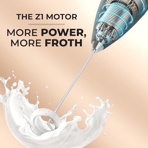 Handheld Mixer For Protein Powder