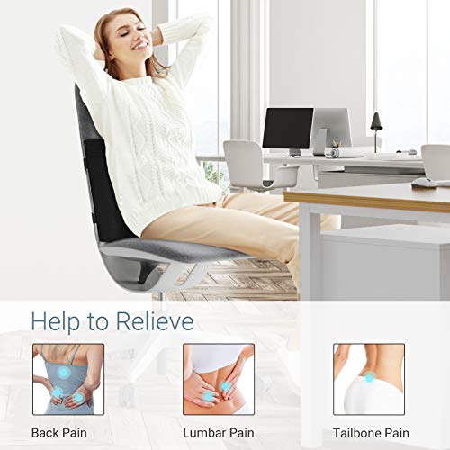 AMERIERGO Lumbar Support Pillow, Memory Foam Back Cushion with Mesh Cover Double Adjustable Straps for Office Chair Car Seat