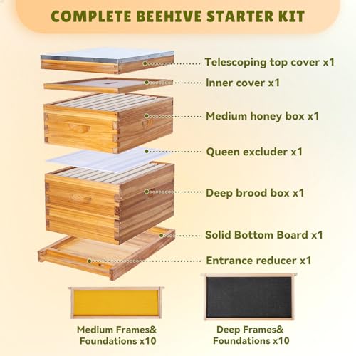 ThxBees 10-Frame Bee Hive Complete Beehive Kit Beeswax Coated Beehive Include Frames and Foundation Sheets for All Beekeeping Levels (1 Deep & 1 Medium Bee Boxes)