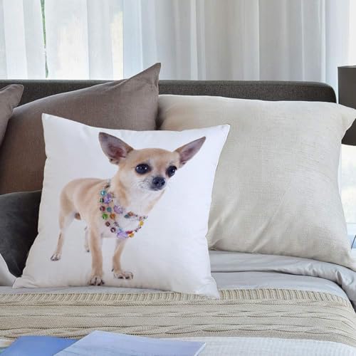 【Materiale squisito】Il federa cuscino è realizzato in materiale tessuto super morbido, comodo al tatto, leggero e resistente e può fornire a tuo amica un comodo angolo di riposo. Il cablaggio è stretto ed è dotato di cerniere invisibili, che è comodo e pratico pur garantendo la bellezza.