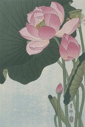 Toile affiches d'art Hill Myna Ohara Koson peinture décorative 60x90