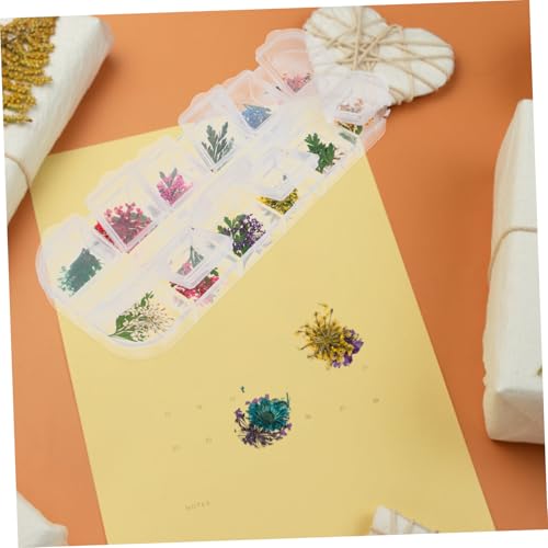 Flores naturales secas para manualidades DIY, set 3 cajas miniatura 5