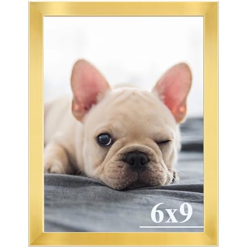 RUN HELIX 6x9 Picture Frame, Wall Gallery Photo Frames,Stable and Sturdy Gold Frame with High Definition Plexiglass,6x9 Poster Photo Frame,Horizontal and Vertical Formats for Wall Hanging, G