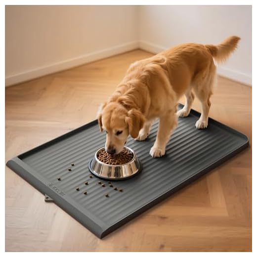 35+ Essential Items for the Perfect Dog Feeding Station 5 Dog Food Mat 36"x24", Waterproof Pet Feeding Mat with Diversion Grooves and Raised Edges, Large Non-Slip Dog Bowl Mat for Food and Water, Cat Food Mat for Floors, Easy to Clean, Grey