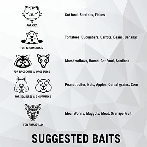 HOMESTEAD 32 Inch Live Animal Trap - Image 7