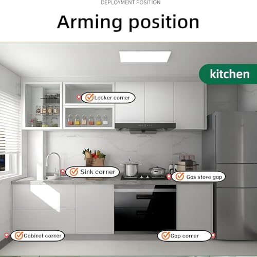 HOGOOD 20pcs Insect Powder Killer for Cockroaches, Bed Bugs, Termites, and Ants for Small & Large Cockroaches, Bed Bugs, Termites, Non-Toxic, Long Lasting Protection