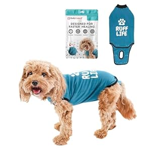 BellyGuard Dog Surgery Recovery Suit, Dog Onesie for Post-Op Care, Recovery Apparel for Female and Male, Surgical Body Cover for Canine Healing Support