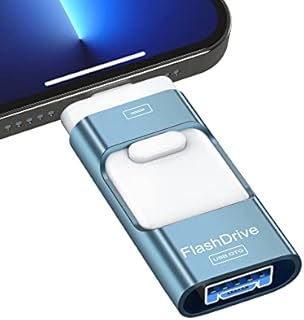 Sunany USB Flash Drive 256GB, Photo Stick Memory External Data Storage Thumb Drive Compatible with Phone, Pad, Android, PC and More Devices (Blue)