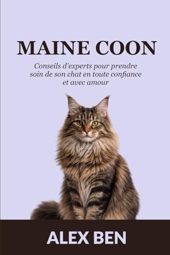 Maine Coon: Conseils d’experts pour prendre soin de son chat en toute confiance et avec amour